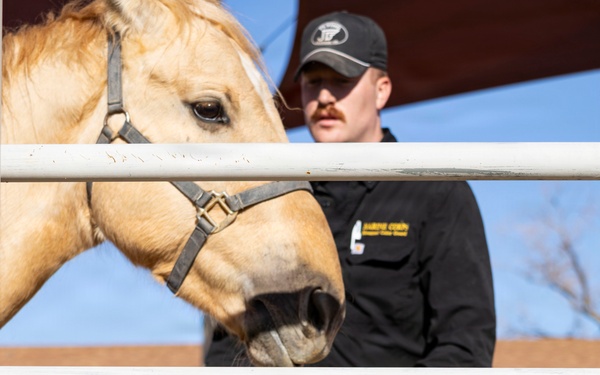 U.S. Marine Corps Mounted Color Guard conducts farrier work