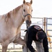 U.S. Marine Corps Mounted Color Guard conducts farrier work