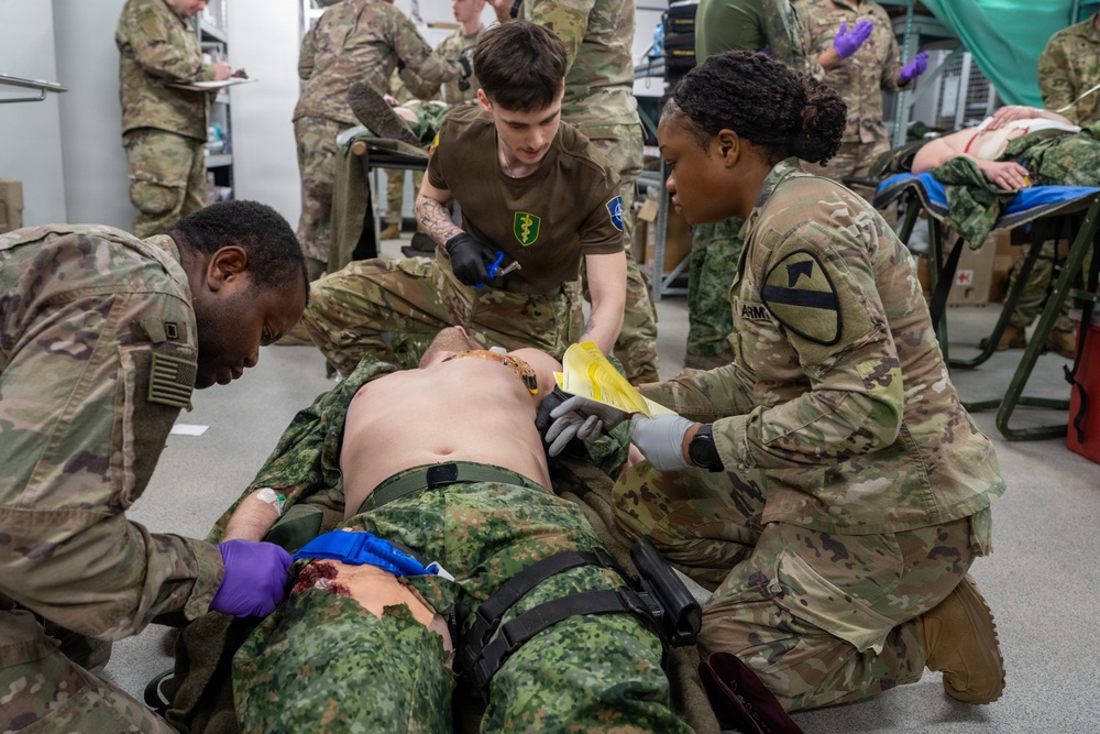1-12 Cav medical platoon trains with Czech and Danish partners at Pabradė Training Area