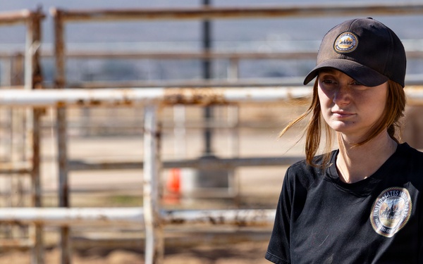 U.S. Marine Corps Mounted Color Guard conducts farrier work