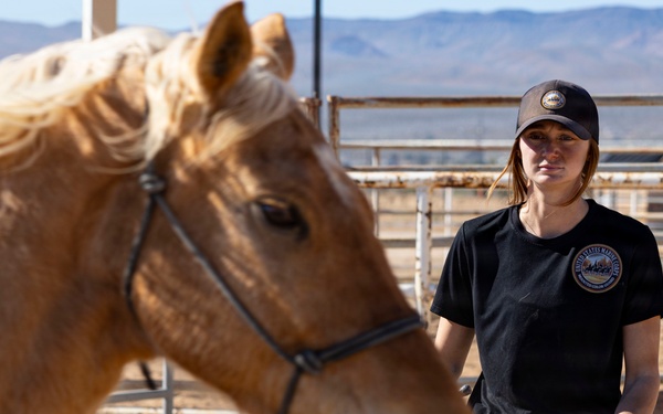 U.S. Marine Corps Mounted Color Guard conducts farrier work