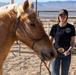 U.S. Marine Corps Mounted Color Guard conducts farrier work
