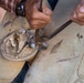 U.S. Marine Corps Mounted Color Guard conducts farrier work