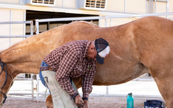 U.S. Marine Corps Mounted Color Guard conducts farrier work