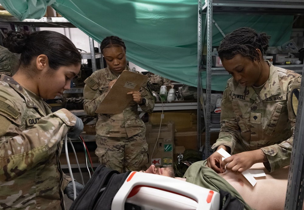 1st Battalion, 12th Cavalry Regiment, conducts a medical training exercise alongside NATO Partners