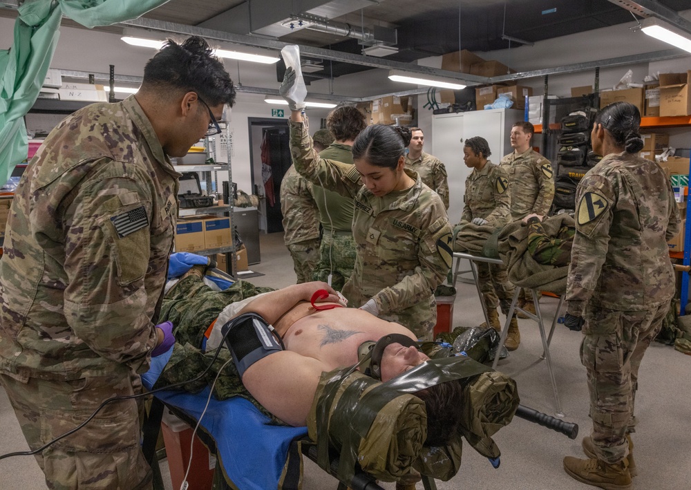 1st Battalion, 12th Cavalry Regiment, conducts a medical training exercise alongside NATO Partners