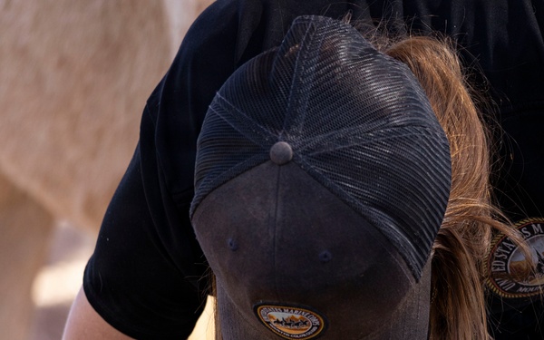 U.S. Marine Corps Mounted Color Guard conducts farrier work