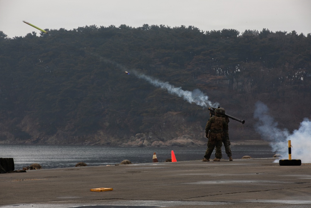Stinger Live Fire conducted at Daecheon Range for Freedom Shield 2026