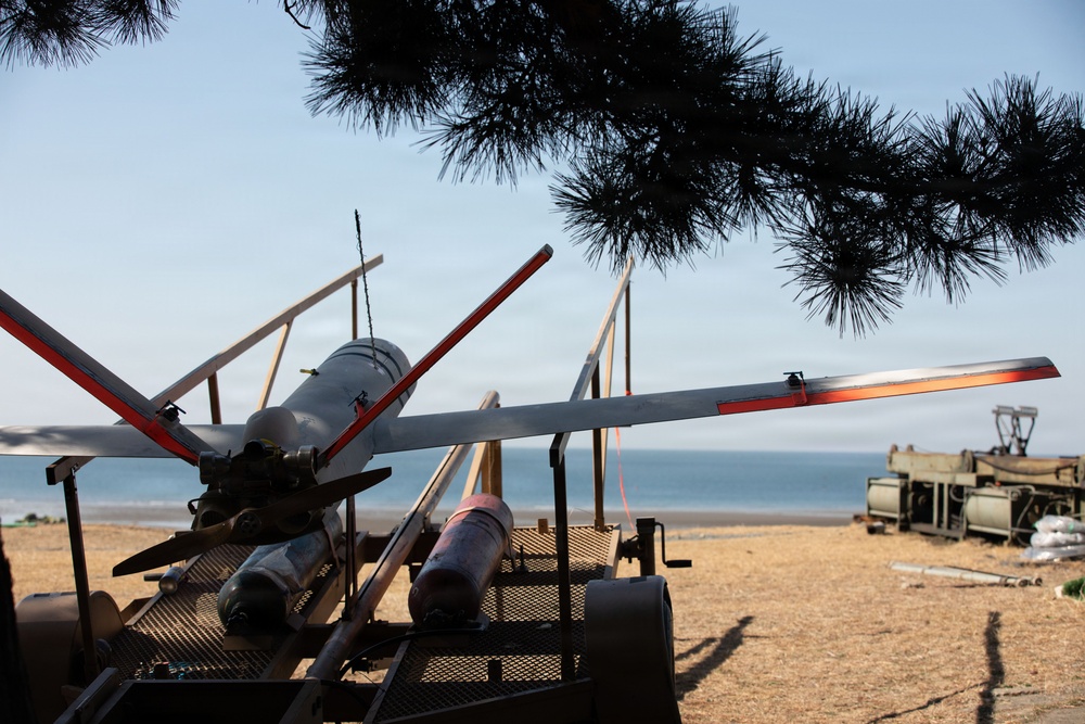 Stinger Live Fire conducted at Daecheon Range for Freedom Shield 2026