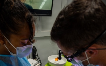 Dental partnerships shine during LAMAT26