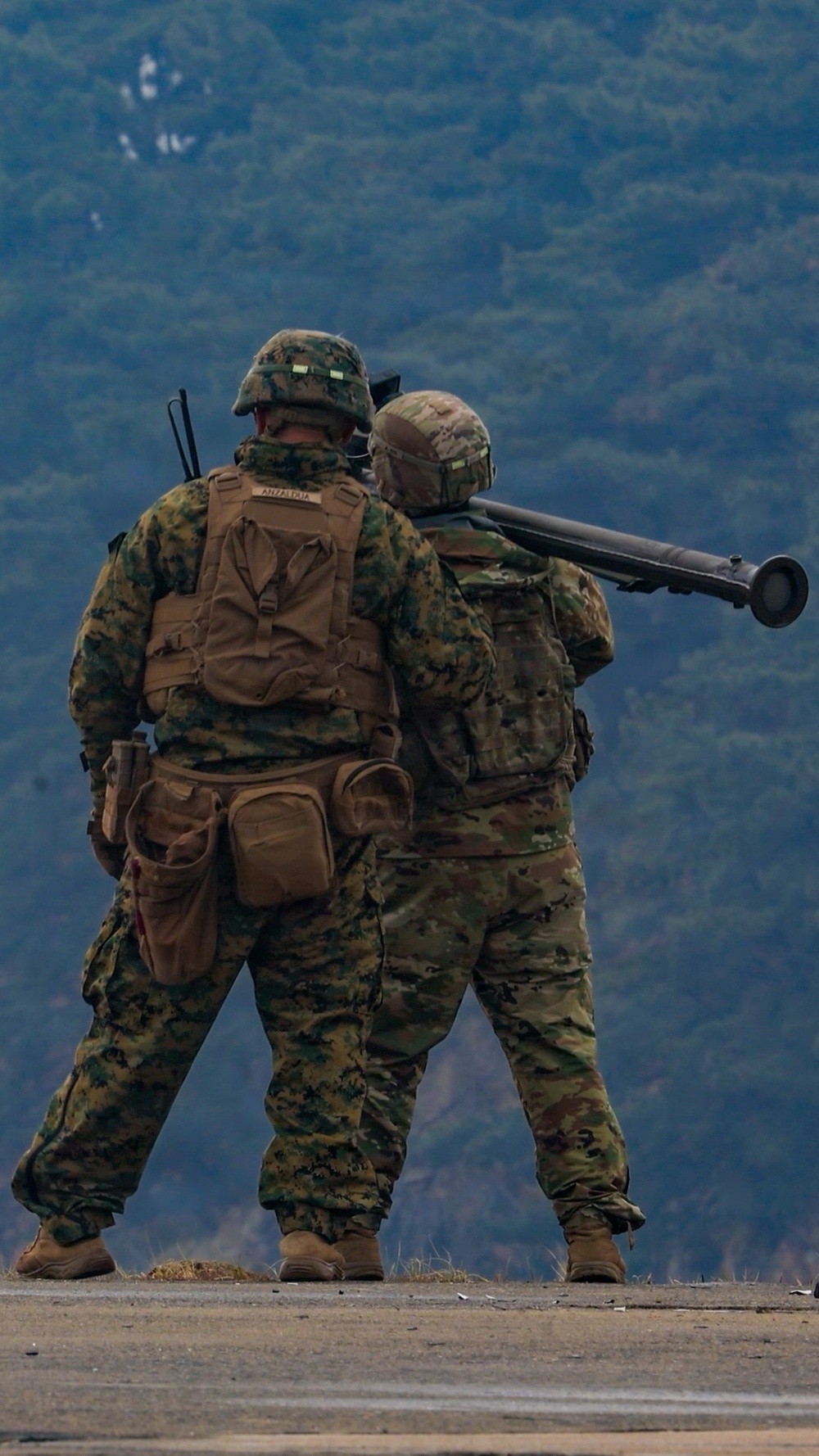 Air Defense Stinger Live Fire