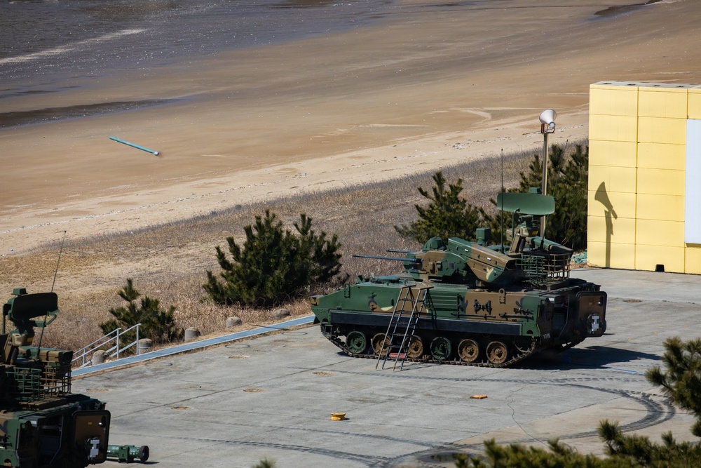 Air Defense Stinger Live Fire