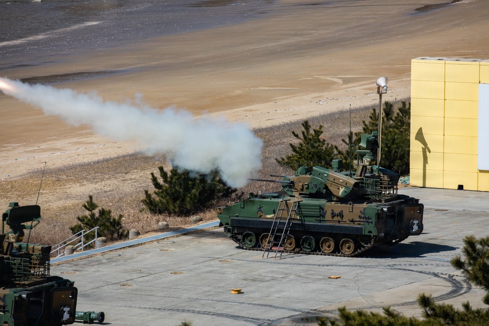 Air Defense Stinger Live Fire