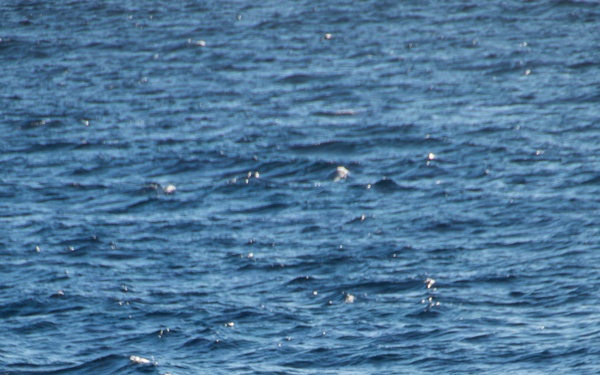 Nimitz Conducts Small Boat Operations