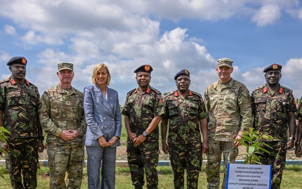 Justified Accord 2026 DV Day