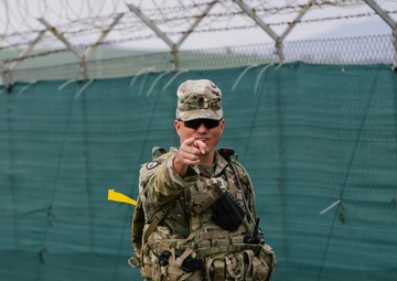 KFOR Multinational Soldiers Test Endurance During Danish Contingent March