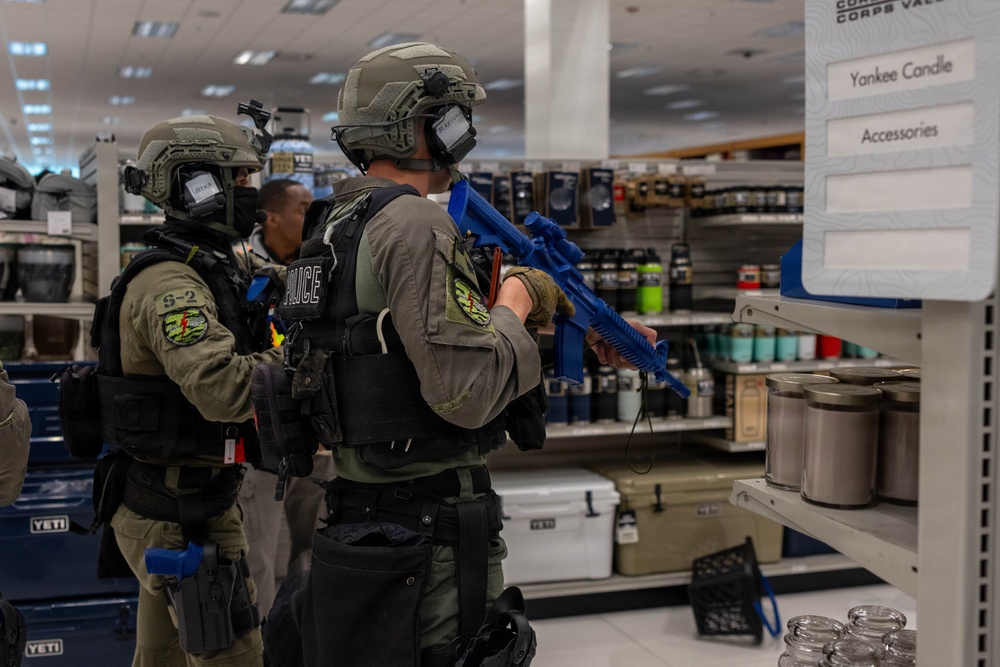 Active Shooter Integrated Response Workshop