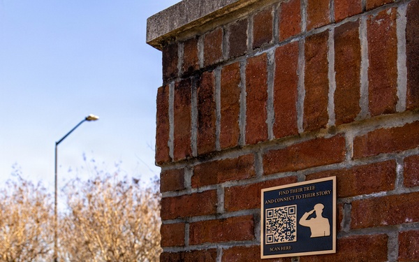 Warriors Walk gets new plaques