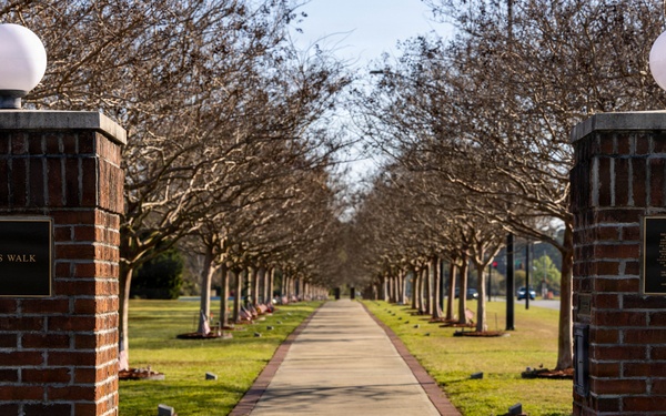 Warriors Walk gets new plaques