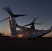 VMM-161 conducts night flight operations