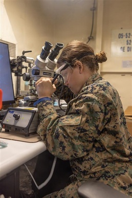 Marines Strengthen Joint Force Through Coast Guard Electronics Training