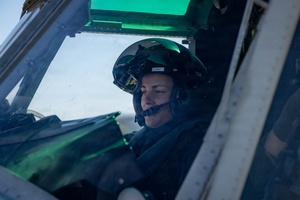 AFN Aviano Radio News: OG War Day 26.1