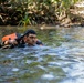 Jungle Operations Training Course - Panama: Jungle Waterborne Operations