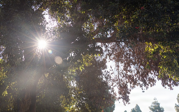 Headquarters and Service Battalion PT