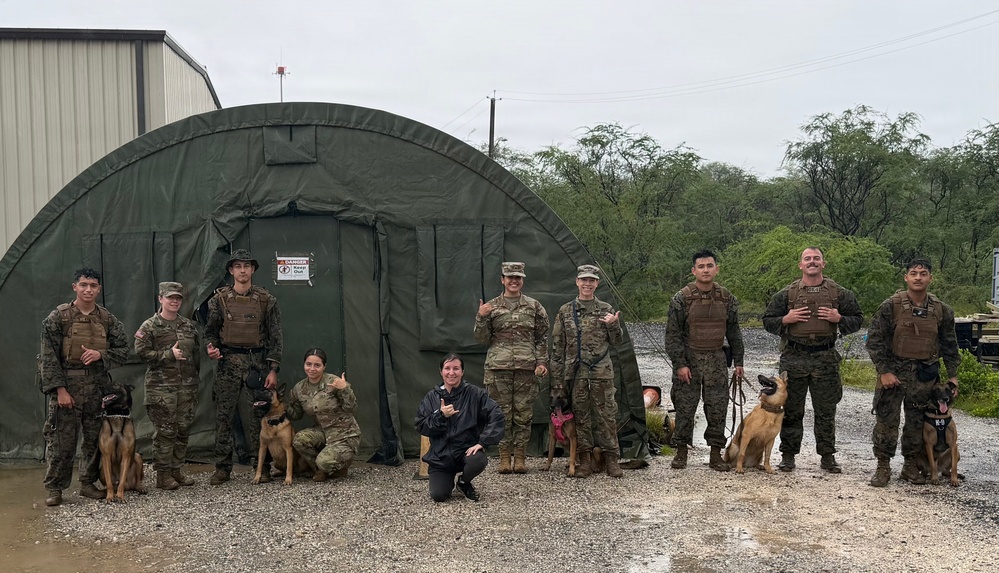 Service Members Commemorate K9 Veterans Day, Maintain Readiness with Ruck March and Explosive Detection Training