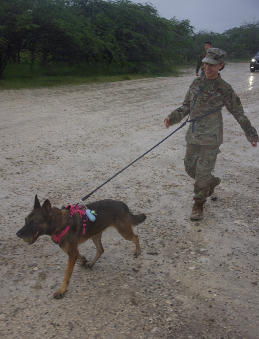 Service Members Commemorate K9 Veterans Day, Maintain Readiness with Ruck March and Explosive Detection Training