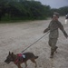 Service Members Commemorate K9 Veterans Day, Maintain Readiness with Ruck March and Explosive Detection Training