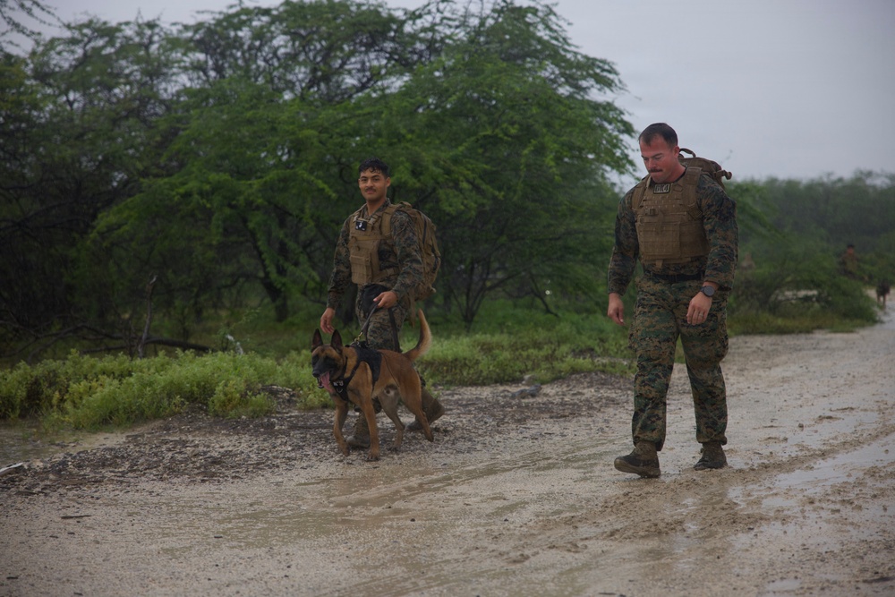 Service Members Commemorate K9 Veterans Day, Maintain Readiness with Ruck March and Explosive Detection Training