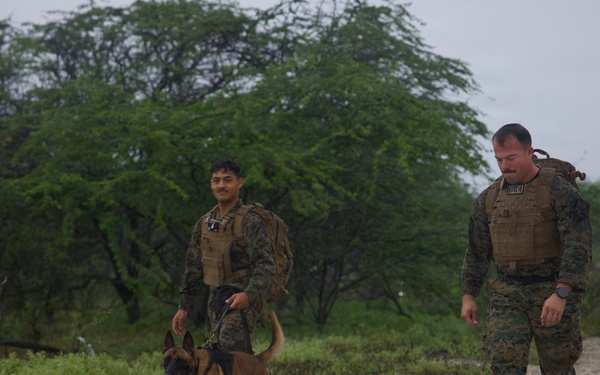 Service Members Commemorate K9 Veterans Day, Maintain Readiness with Ruck March and Explosive Detection Training