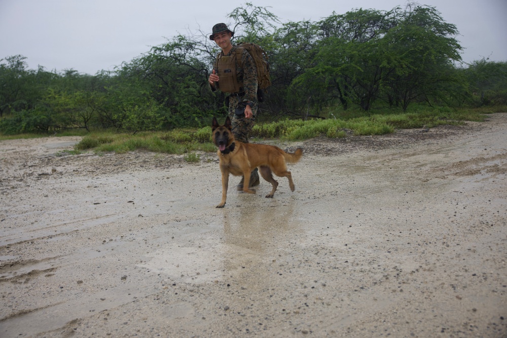 Service Members Commemorate K9 Veterans Day, Maintain Readiness with Ruck March and Explosive Detection Training