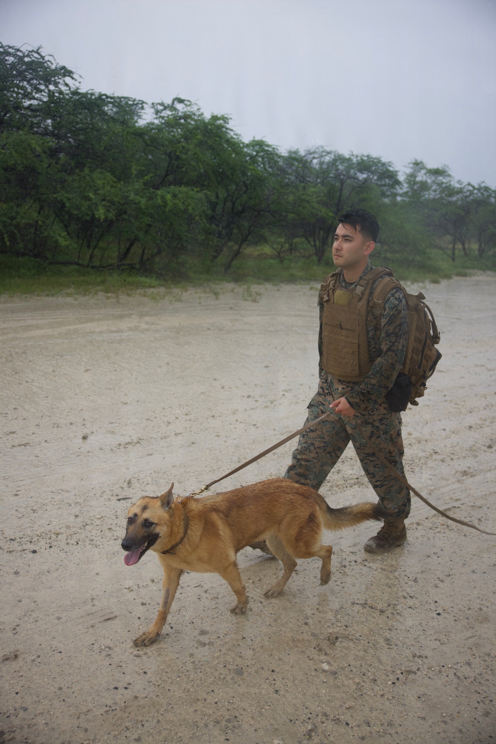 Service Members Commemorate K9 Veterans Day, Maintain Readiness with Ruck March and Explosive Detection Training