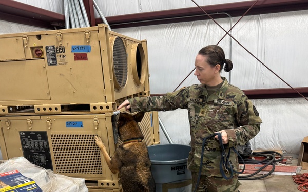 Service Members Commemorate K9 Veterans Day, Maintain Readiness with Ruck March and Explosive Detection Training