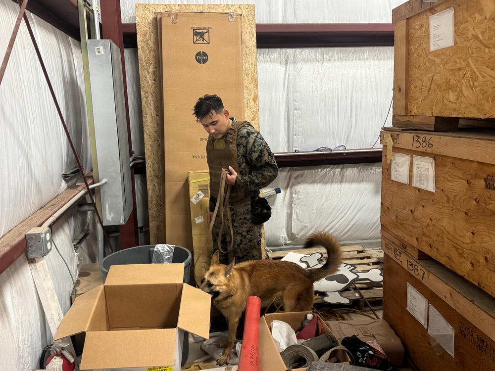 Service Members Commemorate K9 Veterans Day, Maintain Readiness with Ruck March and Explosive Detection Training