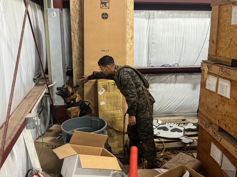 Service Members Commemorate K9 Veterans Day, Maintain Readiness with Ruck March and Explosive Detection Training