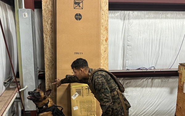 Service Members Commemorate K9 Veterans Day, Maintain Readiness with Ruck March and Explosive Detection Training