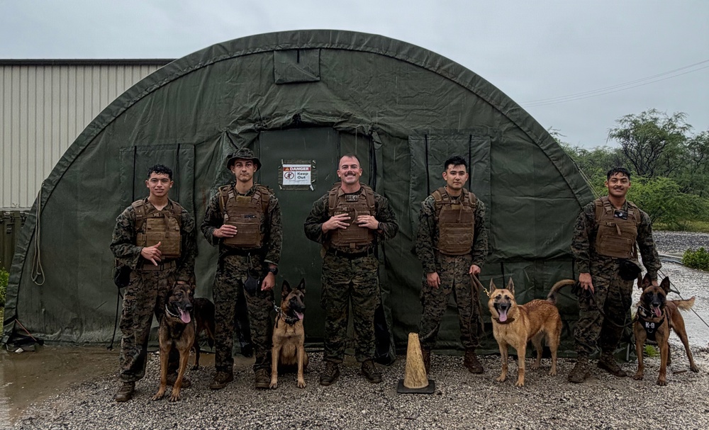 Service Members Commemorate K9 Veterans Day, Maintain Readiness with Ruck March and Explosive Detection Training