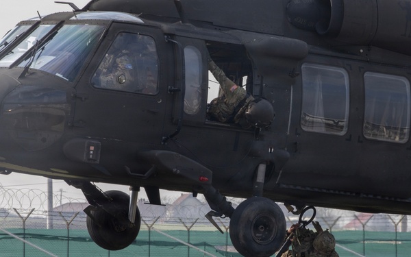 KFOR 36 NATO forces compete in Royal Danish Army DANCON March