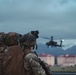 Wolfhounds Conduct Air Assault Training with 25th Combat Aviation Brigade, 25th Infantry Division