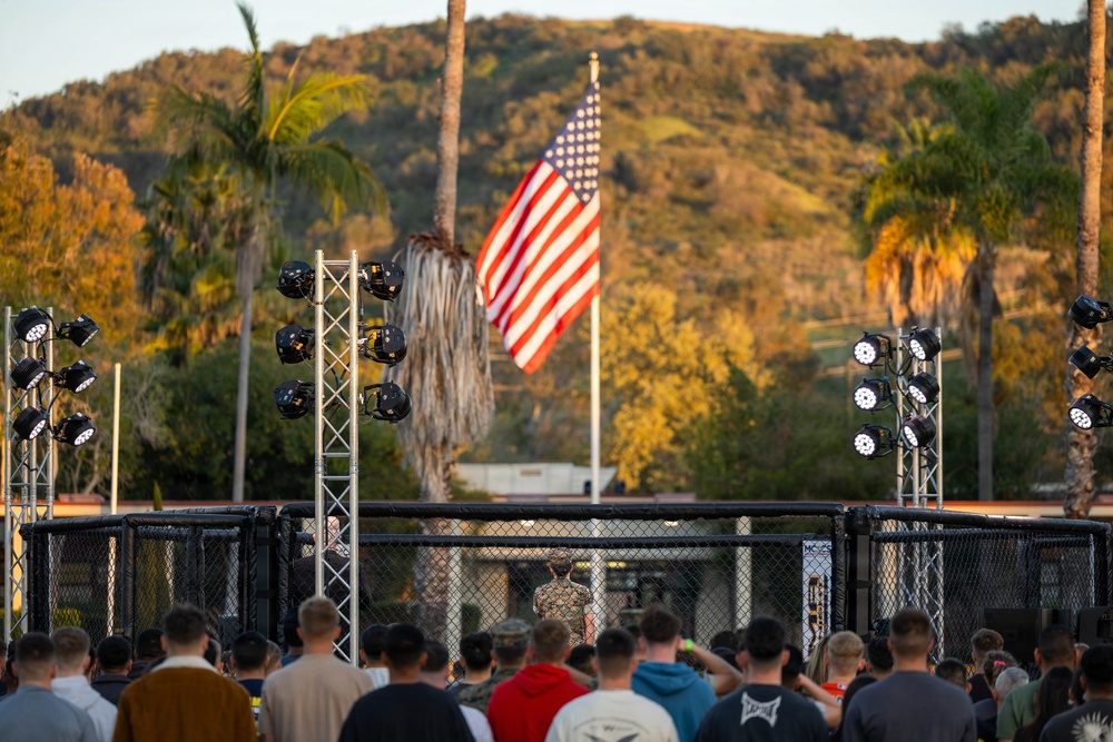 MMA Fight Night