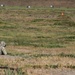 40th ID refines combat effectiveness, conducts marksmanship qualification