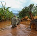 Hawaii National Guard CERFP Conducts Flood Search and Recovery Mission
