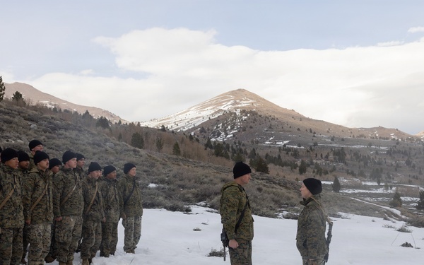 MTX 2-26: 2nd Combat Engineer Battalion Promotion Ceremony