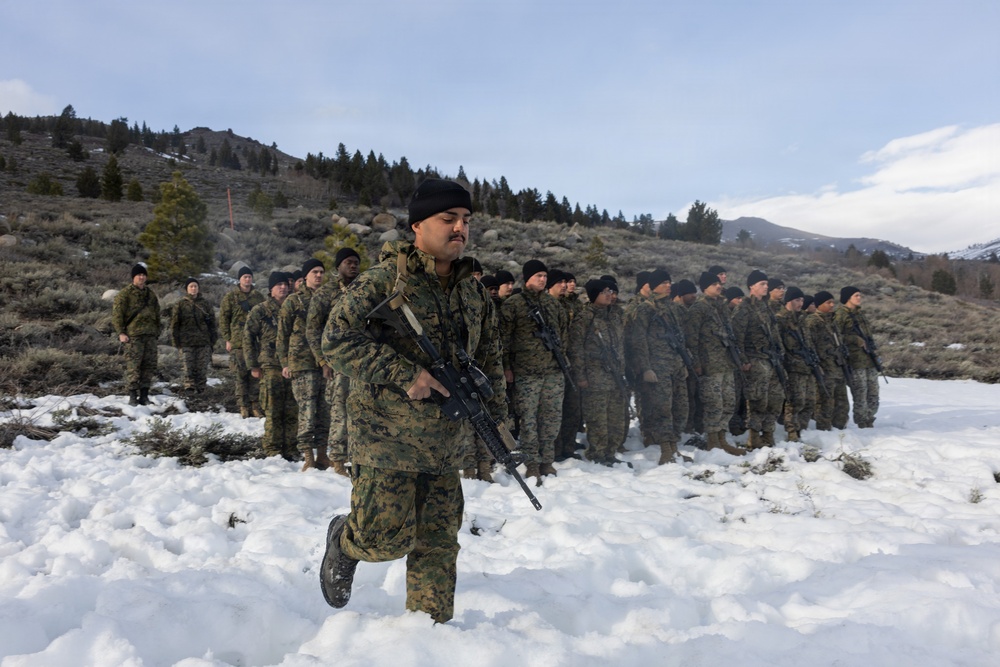 MTX 2-26: 2nd Combat Engineer Battalion Promotion Ceremony
