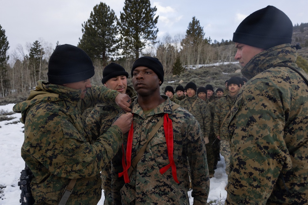 MTX 2-26: 2nd Combat Engineer Battalion Promotion Ceremony