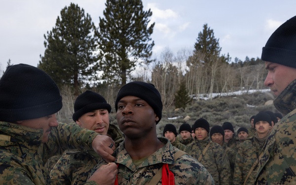 MTX 2-26: 2nd Combat Engineer Battalion Promotion Ceremony