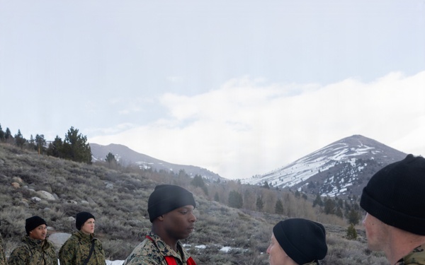 MTX 2-26: 2nd Combat Engineer Battalion Promotion Ceremony